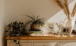 bureau top decorated with potted plants, books and framed pictures